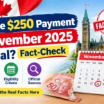 Is the $250 Payment November 2025 Real Fact-Check