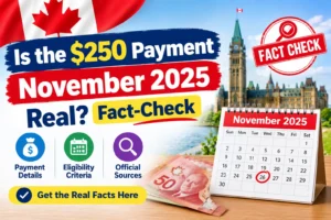 Is the $250 Payment November 2025 Real Fact-Check